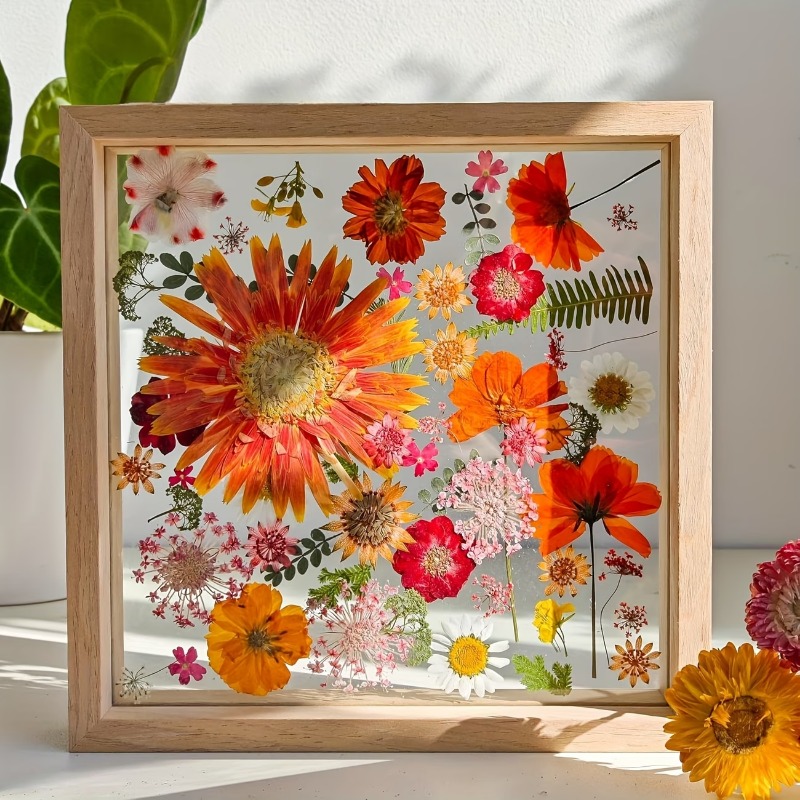 Double Sided Transparent Woode - Photography Hacks ulasan dan harga